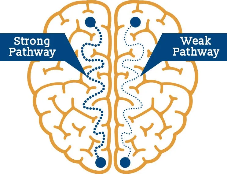 Strong vs Weak Pathways — Photo Credit: Alta Mira
