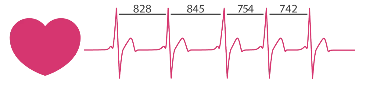 Heart Rate Variability — Photo Credit: firstbeat