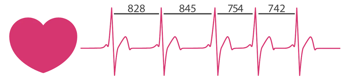 Heart Rate Variability — Photo Credit: firstbeat